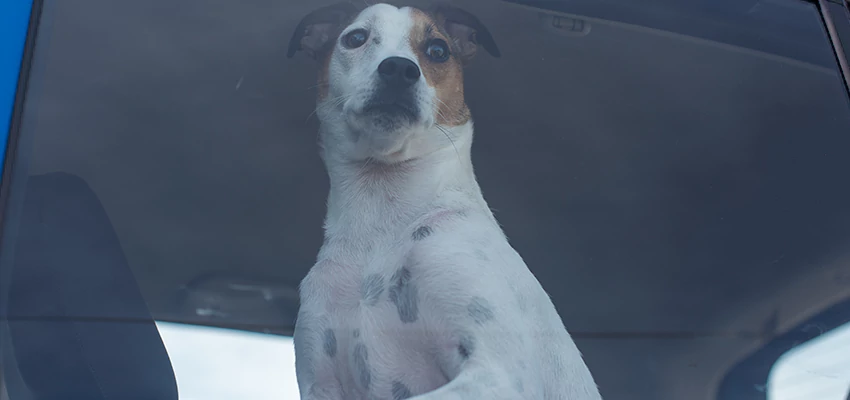 Car Lockout Solutions in Bellflower, California